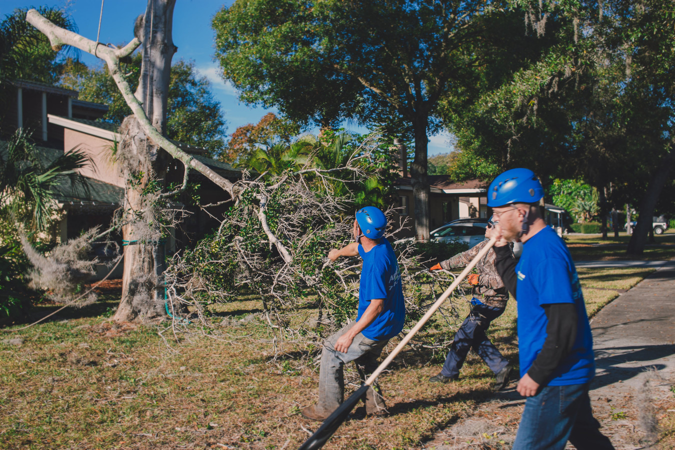 Why Use a Professional Tree Removal Service?