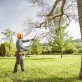 Tree Care: A Simple Guide