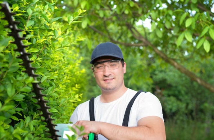 Best Tree Care Services