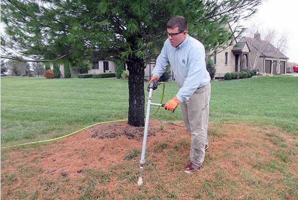 What, When and Why: The Best Way to Fertilize Trees