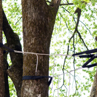 How Tree Bracing And Cabling Protects Your Property From Storm Damage